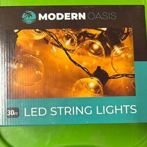 Modern Oasis LED String Lights